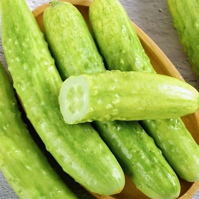 [저칼로리] 수분 가득 아삭한 백오이, 1박스, 5kg