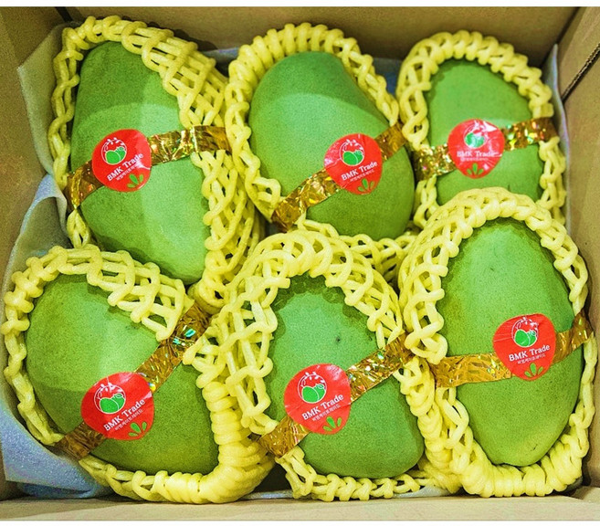 [비엠케이] 베트남 그린망고, 1박스, 2.5kg 내외 (케오)