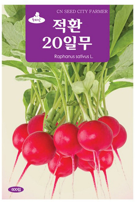 적환 20일무 씨앗 무씨 600립, 2개