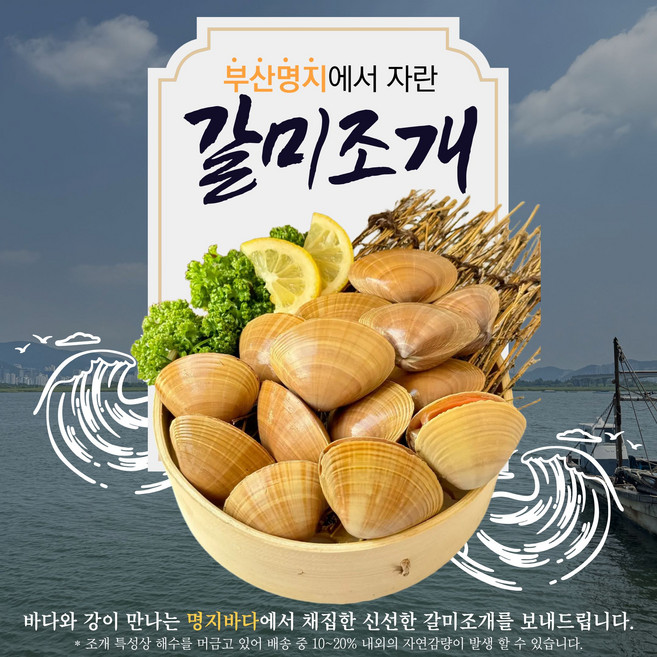4위 - 원일수산 부산 명지 명물 원물 갈미조개 1Kg 16미 내외 (3Kg 초과 시 분할배송), 1개, 2Kg