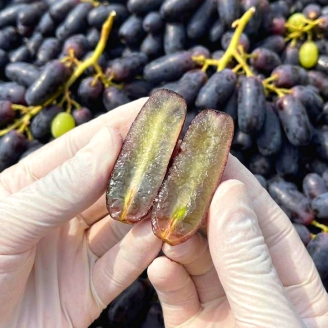 [하루초특가] 루비포도 초고당도 아삭달콤 껍질째 블랙사파이어, 1박스, 2kg 내외