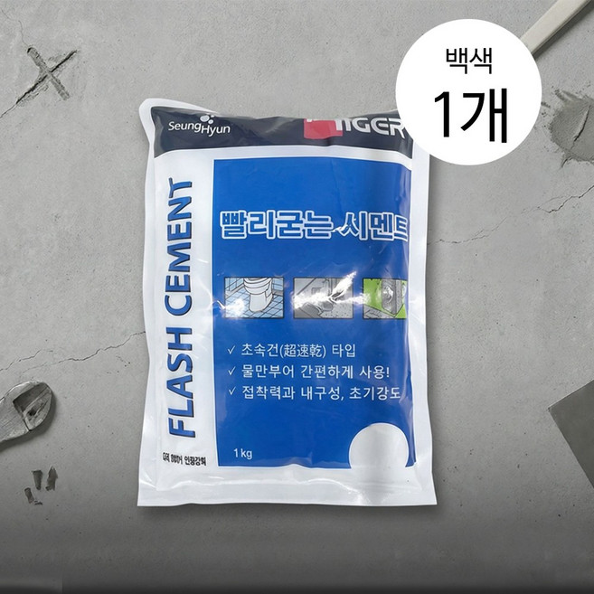 빨리굳는 시멘트 초속경 시멘트 백색 1kg, 1개