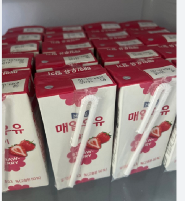 매일우유 가공유 멸균 딸기 우유 200ml, 22개