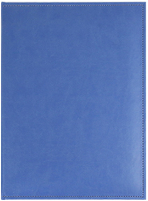 아인텍 고급 2단 가죽파일 A4 3공 O링 내지 40매 HH11, 블루[H5743], 1개