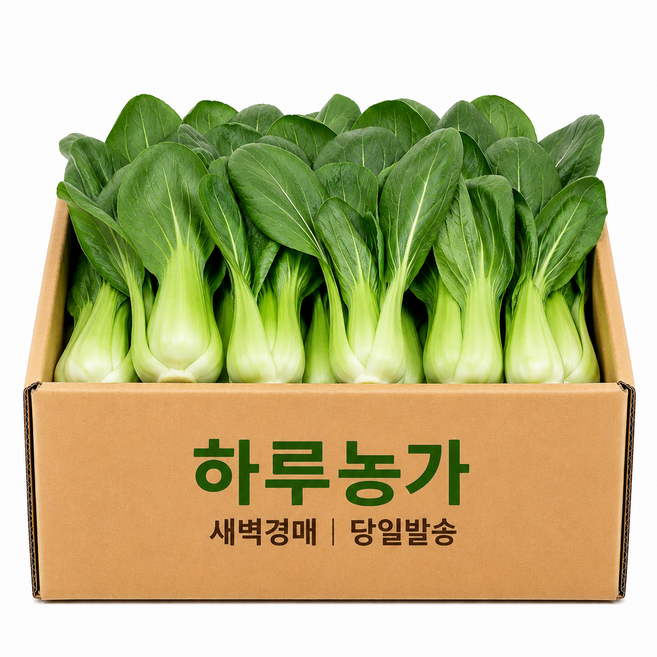하루농가 새벽경매 당일발송 국내산 청경채, 4kg, 1개