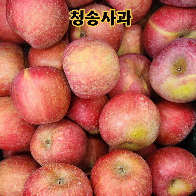 사과 당도선별 청송사과 고산지 부사사과, 1박스, 5kg (가정용)