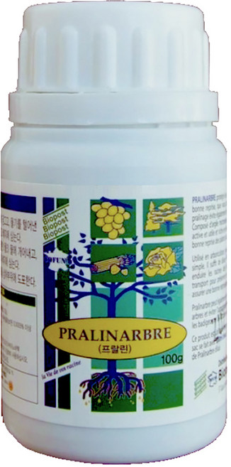 프랑스 프랄린파우더 100g, 1개