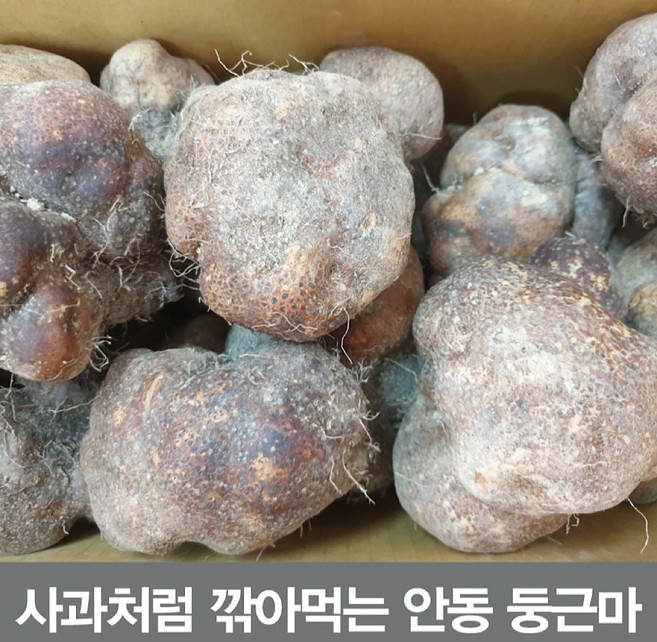 25년햇 둥근마 알뜰10키로 (정직을 배달합니다), 둥근마 알뜰 5키로, 1개