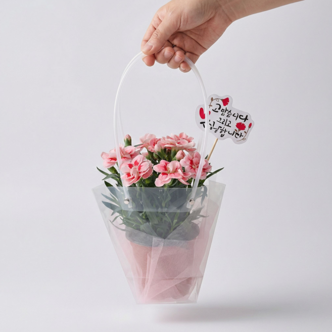 [선물용] 카네이션 가정의달 생화 화분 5월 어버이날 스승의날, 1호세트, 1개