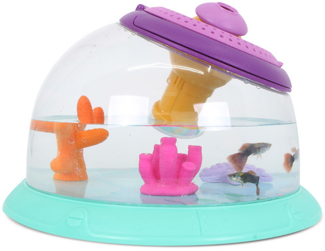 싸이언스캔 곤충 채집통 사육 관찰 어항기능, 1개