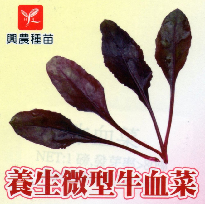 野菜部屋 A26 養生微型牛血菜種子 (約200粒/2.7公克) 易栽培 採收快, 1包