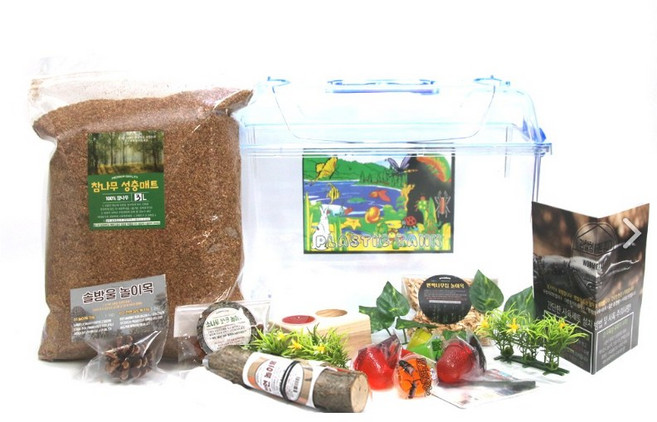 웜팩토리 사슴벌레 장수풍뎅이 키우기 공용 사육세트, 관찰, 1세트