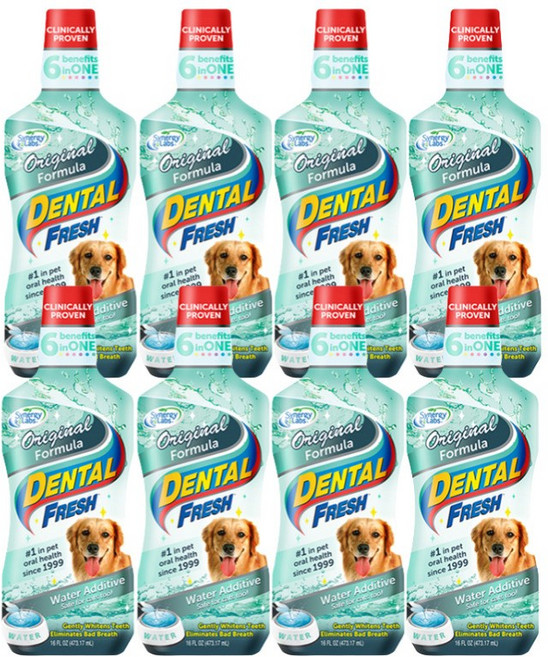 시너지랩 독 덴탈 후레쉬 503ml(물에 섞어주는 치약), 503ml, 8개, 오리지널