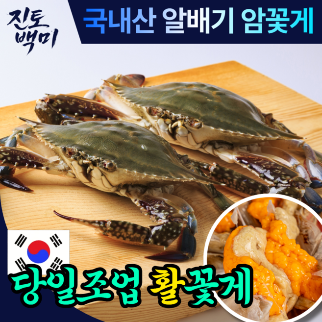 [당일조업] 생물 꽃게 국내산 알배기 암꽃게 제철 맞이 활꽃게 100% 산지직송, 1박스, 암꽃게 1kg (4~6 미 내외)