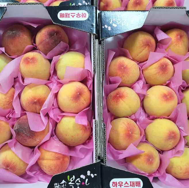[2026년 첫 판매] 당일수확 산지직송 경북 하우스 제철 털복숭아, 1박스, 2kg(로얄과)