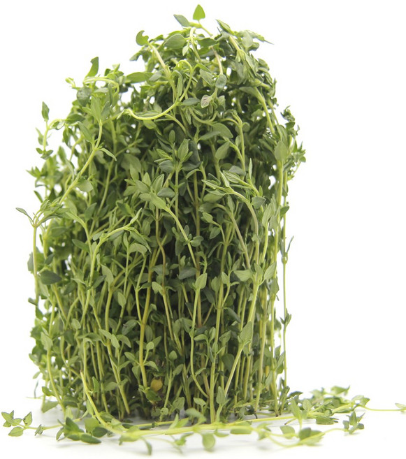 국내산 타임 허브 생잎 100g 백리향 향신료 가락시장 당일새벽경매, 타임 100g, 1개
