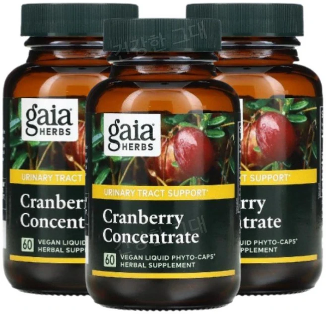가이아허브 크렌베리 크랜베리 420mg 60캡슐 3개 크랜배리 Cranberry, 60정 - 쿠팡