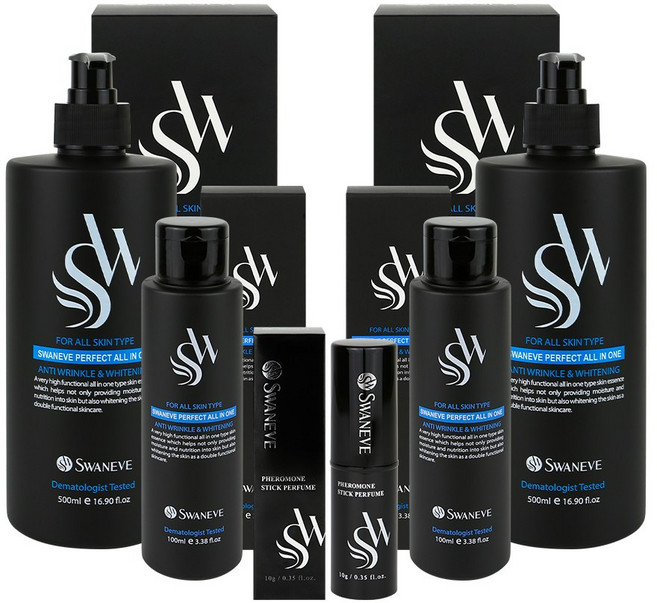 스와니브 퍼펙트 저자극 남성 올인원 2세트(500ml*2+100ml*2+스틱퍼퓸1), 2개, 500g