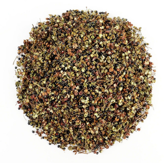 자연닮음 국산 제피열매 초피 천초 100g, 1개