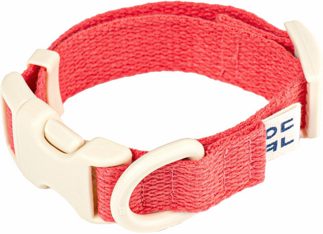 구름솜 부드러운 강아지 목줄 콜마이네임, 코랄, 1개