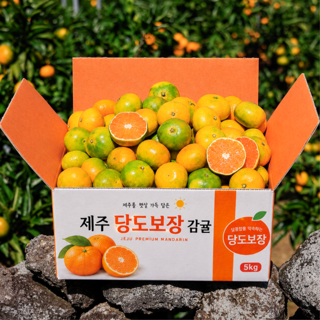 고당도 귤 제주 감귤, 1개, 중대과)_5kg