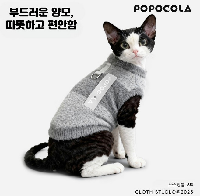 고양이 겨울옷 따뜻한 밍크 플리스 반려동물 스웨터 부드러운 착용감 실내복 스타일 귀여운 가을 겨울용 아비시니아 고양이 전용 의류, 1개, 양털 백심 모직 코트