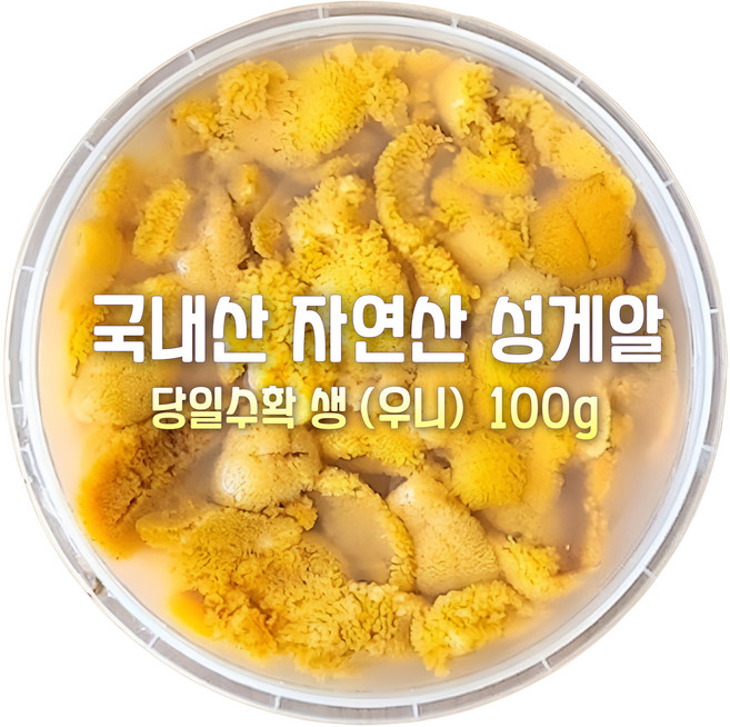 [산지직송] 국내산 자연산 새벽수확 당일배송 남해안. 동해안 생물 성게알 우니 선물용 가정용 제철말똥.보라 성게알, 1세트, 새벽조업 당일배송 동해.남해안 생물성게알 우니 100g