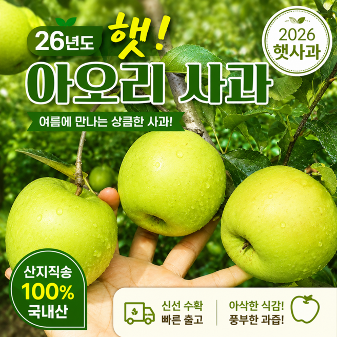 [한정특가] 경북산 고당도 26년 햇 아오리 사과 청사과 소과 중소과 중과 중대과, 1박스, 아오리(청사과) 중대과 5kg (11-17과)