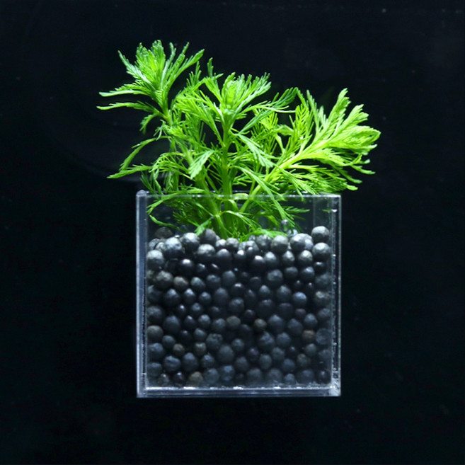 어항수초 컨테이너 암브리아 세트 3개, 1개