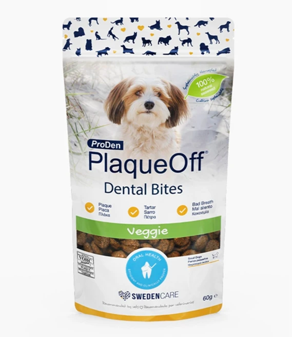 (유통기한26년7월)프로덴 플라그오프 덴탈바이트 강아지용 구강 양치 간식, 구강/치석관리, 60g, 1개 - 쿠팡