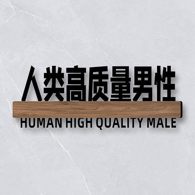 無品牌 宿舍寢室門牌 搞笑搞怪牌子貼 創意個性DIY, 人類高質量男性,25x10cm