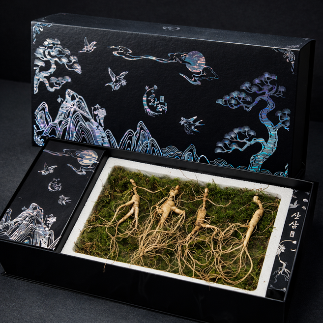 화려산삼 산삼 6년근 10뿌리 선물세트, 1박스, 30g