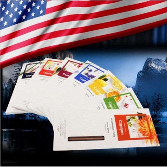 새차 중고차 화장실 기분전환 스틱형 방향제 스트레스해소 아로마 독하지않은 은은한, 달리아꽃향, 1개