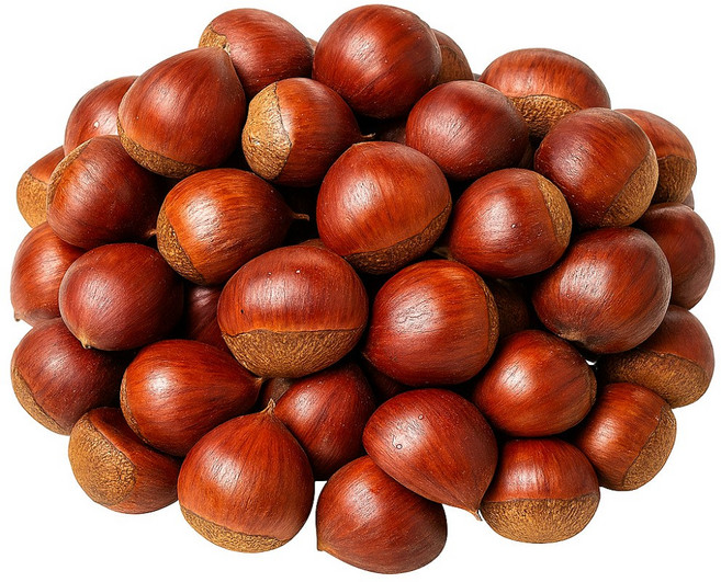 이모뜰 국내산 햇 알밤 밤 왕밤, 1개, 2kg