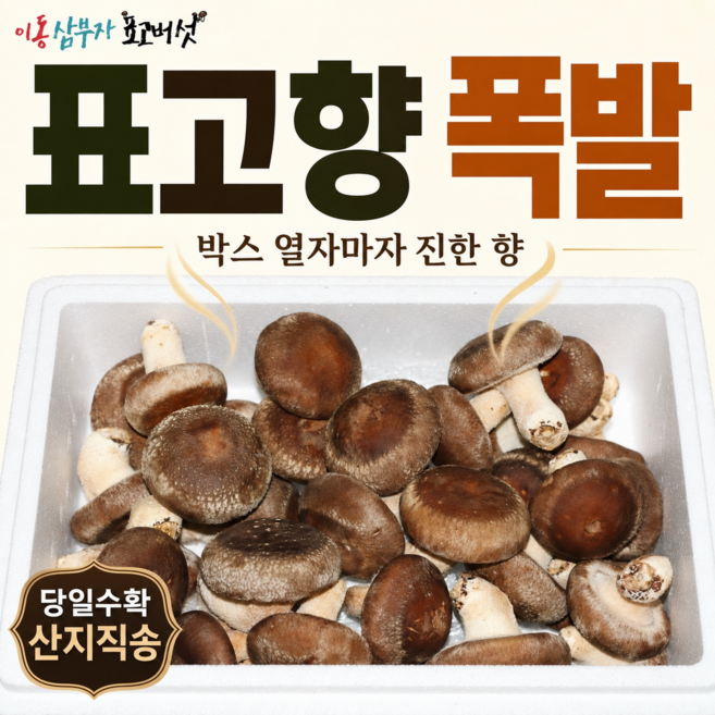표고향 터지는 당일수확 산지직송 이동삼부자 표고버섯, 1개, 5kg(생표고 버섯)
