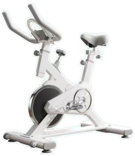 13KG 飛輪健身車，無極阻力調節，300斤載重，靜音皮帶, 白色, 【白色】9KG飛輪+電子表