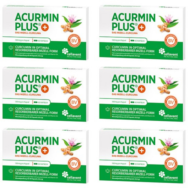 Cellavent 아큐민 플러스 독일 185배 미셀화 커큐민 60정x6 6개월분, 60정, 6개