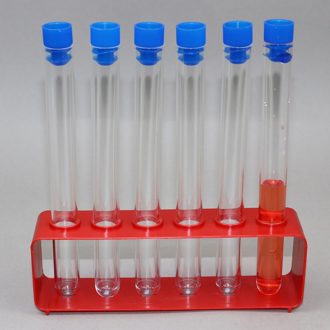 사이언쌤 6구 시험관대 캡시험관 세트 15mm용, A형 6구시험관대캡시험관세트(2종1조), 1세트