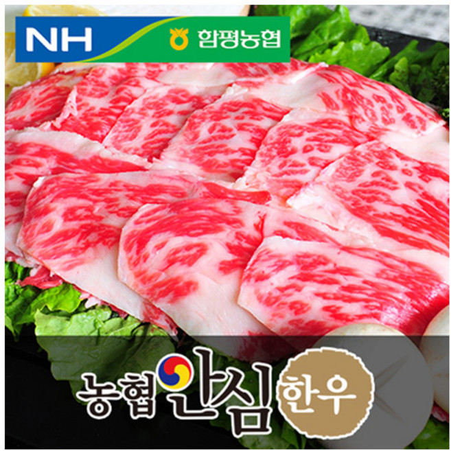 농협안심한우 차돌박이 1등급, 1개, 300g 구이용(2등급)