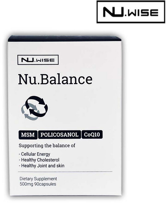 뉴와이즈 뉴 발란스 90캡슐 폴리코사놀 식이유황 MSM 플러스 코엔자임Q10, 1개, 90정