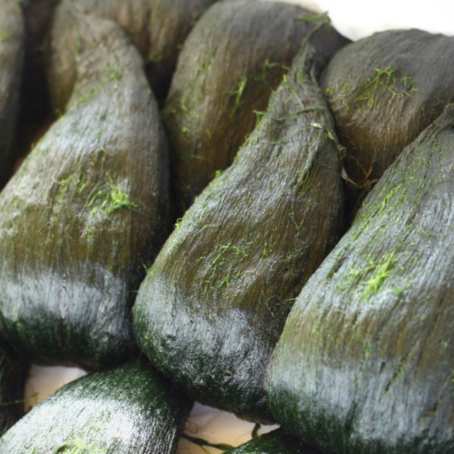 완도명가 매생이 350gx10, 10개