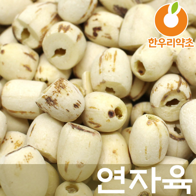 깐연자육 1200g 연자육밥 연씨 연밥 연꽃씨 효능, 1.2kg, 1개