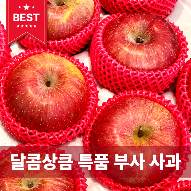 [다정한과일] 특품 부사 사과 (새벽경매/산지배송), 1박스, (가정용 A급) 10kg