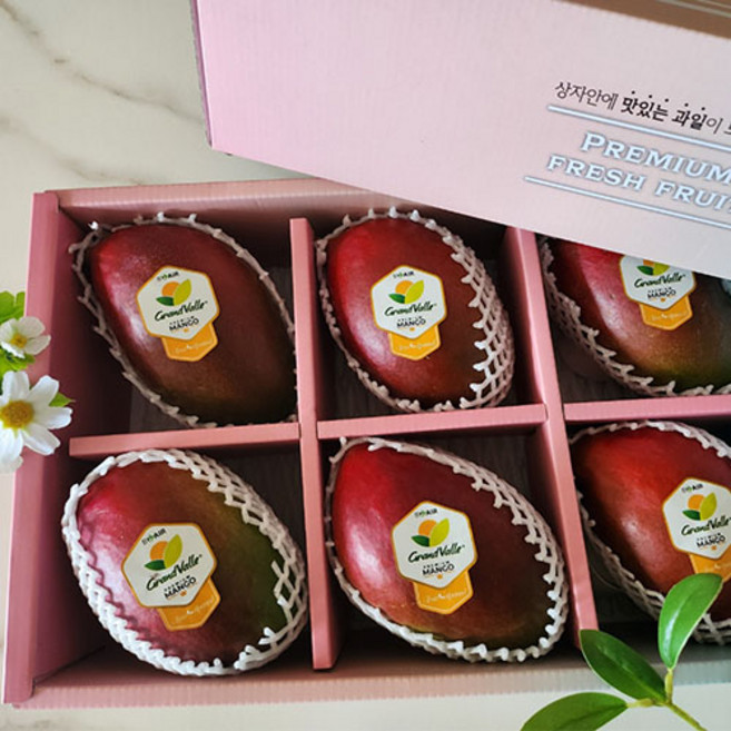 실패없는 애플망고 항공수입100% 고당도, 애플망고 2.4KG내외 [6과] 선물용, 1개