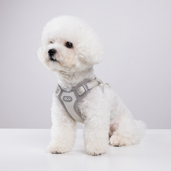 올지 세이프 하네스 단품 강아지 슬개골 관절보호 기도압박 없는, 1개, 라이트그레이