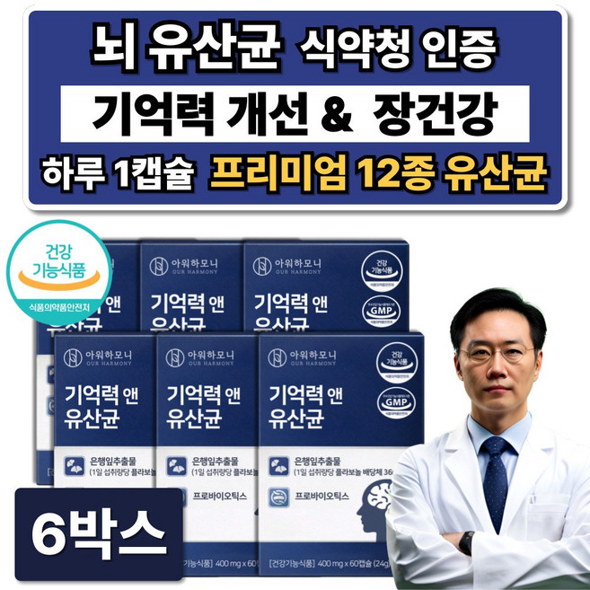 뇌 유산균 복합물 두뇌 뇌건강 기억력 개선 징코 두뇌엔 뇌영양제 식약청인증 브레인 혈행개선, 6박스, 60정