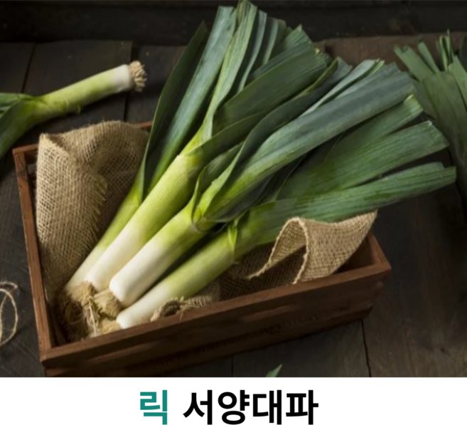 싱싱한 릭 leek 서양대파 생 릭 400g 500g 리크 외국 대파 벨기에 대파, 1개