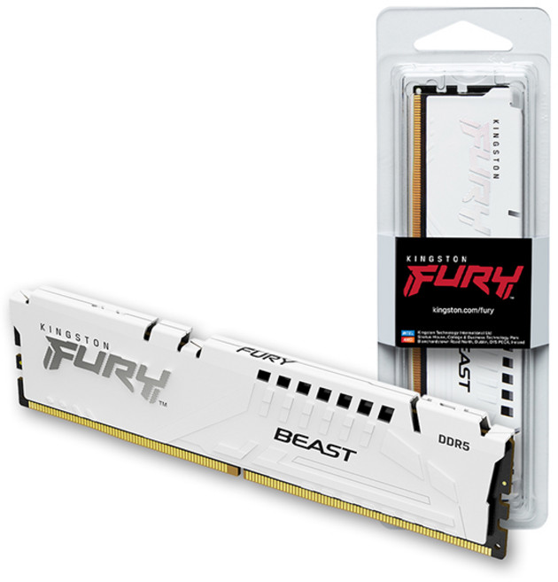 [공식수입사] 킹스톤 FURY DDR5-6000 CL30 Beast 화이트 16GB 코잇