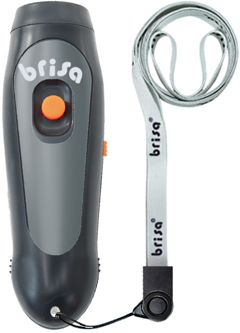 브리사 충전식 전자 호루라기 누르는 휘슬 손 호각 SPC-EW12, 1개, 그레이