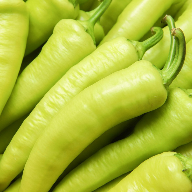 당조고추 당고추 1kg, 당조고추 1kg, 1개